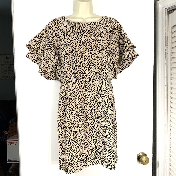 She and Sky Dresses & Skirts - NEW she & sky leopard print dress